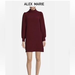 Alex Marie Heidi Dress, NWT size 14. Long Sleeve.